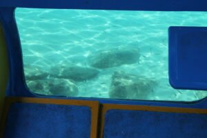 IMG_5476