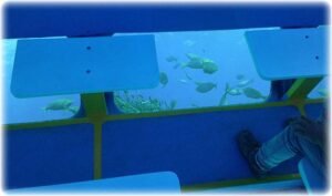 zingaromare-visione3_0x6570um